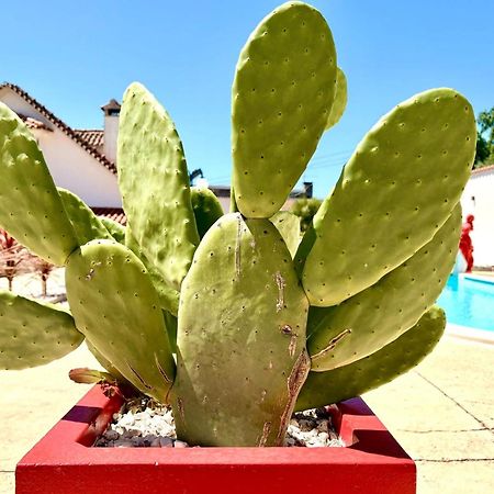 Casal Dos Frades Bed and Breakfast Fontainhas  Buitenkant foto