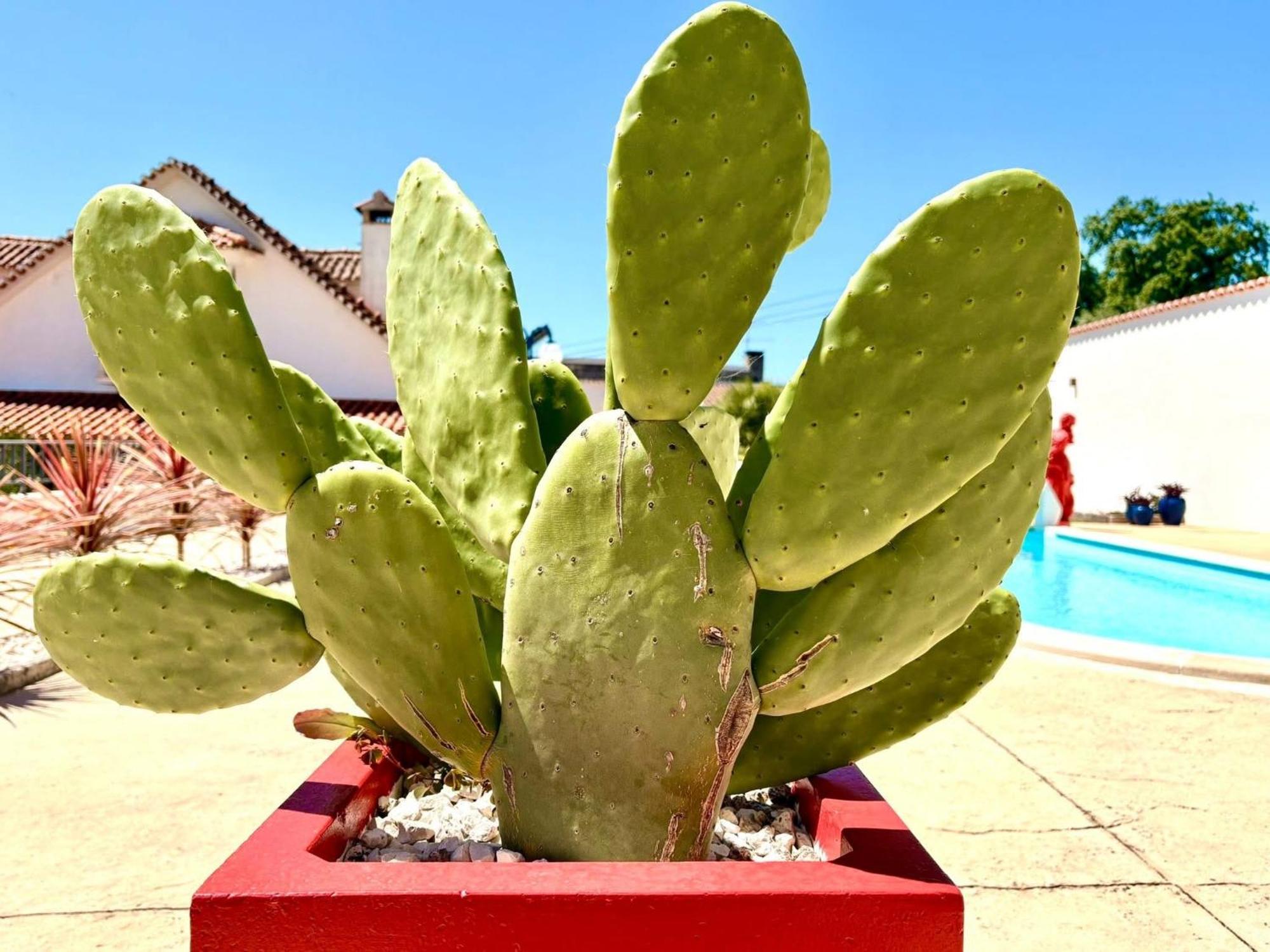 Casal Dos Frades Bed and Breakfast Fontainhas  Buitenkant foto