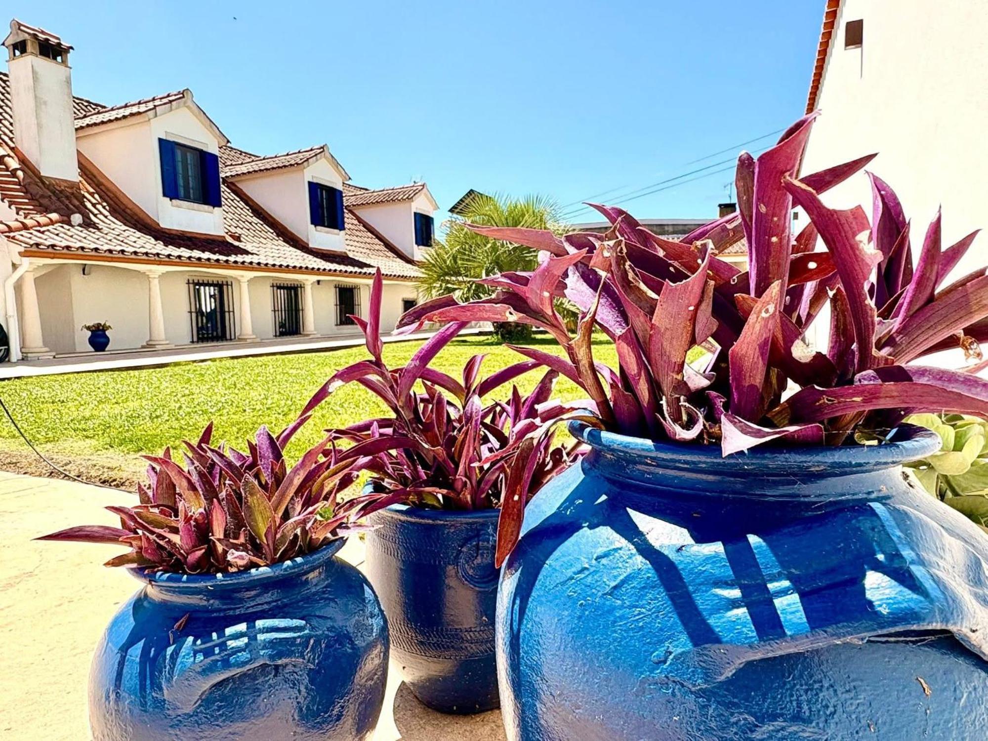 Casal Dos Frades Bed and Breakfast Fontainhas  Buitenkant foto